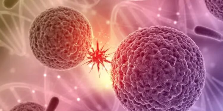 Cómo funciona el algoritmo de IA diseñado por Harvard que puede predecir cáncer de páncreas hasta 3 años antes de los síntomas