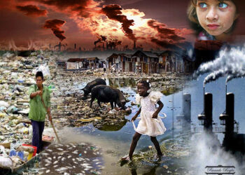 Daño al ambiente: “Cuesta diferenciar el daño sufrido o qué lo causa”