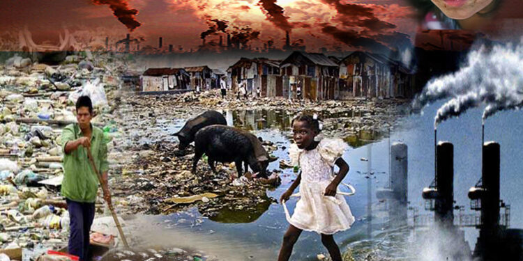 Daño al ambiente: “Cuesta diferenciar el daño sufrido o qué lo causa”