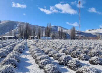 Zonas de siete provincias bajo alerta amarilla por temperaturas extremas por frío