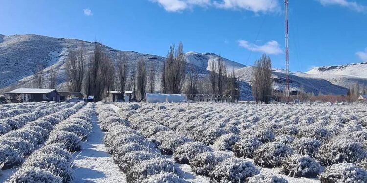 Zonas de siete provincias bajo alerta amarilla por temperaturas extremas por frío
