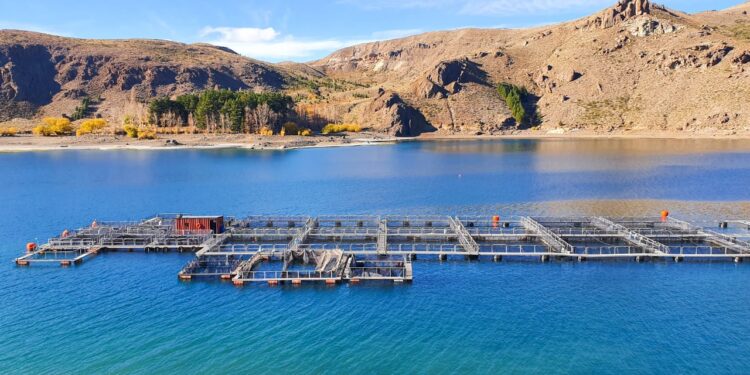 Exportan a EE.UU. el pescado de Piedra del Águila.