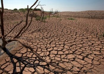 El 2022 fue el quinto año más cálido desde que se tiene registro, según la ONU