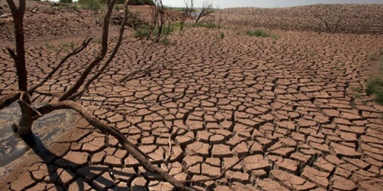 El 2022 fue el quinto año más cálido desde que se tiene registro, según la ONU