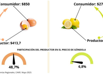 Del productor al consumidor, los precios de los agroalimentos se multiplicaron por 3,5 veces en mayo