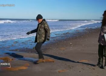 Pehuen Co. Huellas en “Estado” de indefensión