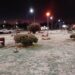 Helada mañana en la comarca serrana. Se avecinan nevadas..??
