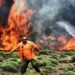 Tres muertos en Grecia, donde siguen los combates contra incendios en medio de altas temperaturas