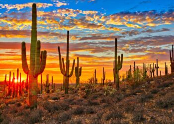 Me arde: una región de México superó los 80 grados, según la NASA