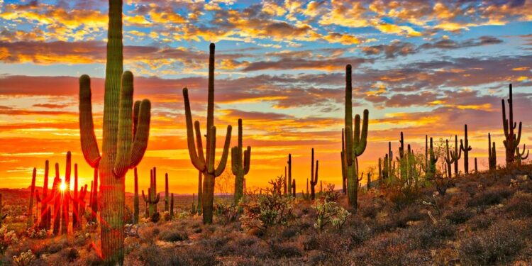 Me arde: una región de México superó los 80 grados, según la NASA