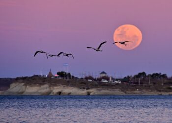 La Luna llena, luminosa e impactante por el fenómeno del Esturión que se vio ayer.