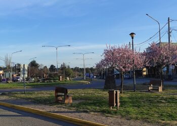 Lunes parcialmente nublado, una máxima de 15 grados y alerta amarillo por vientos en la comarca.