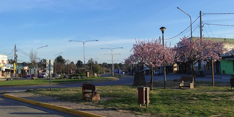 Lunes parcialmente nublado, una máxima de 15 grados y alerta amarillo por vientos en la comarca.