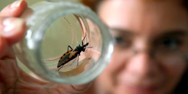 Cerca de la primera vacuna nasal contra el Chagas: desarrollada por científicos de la UBA y Europa está lista para la prueba en humanos