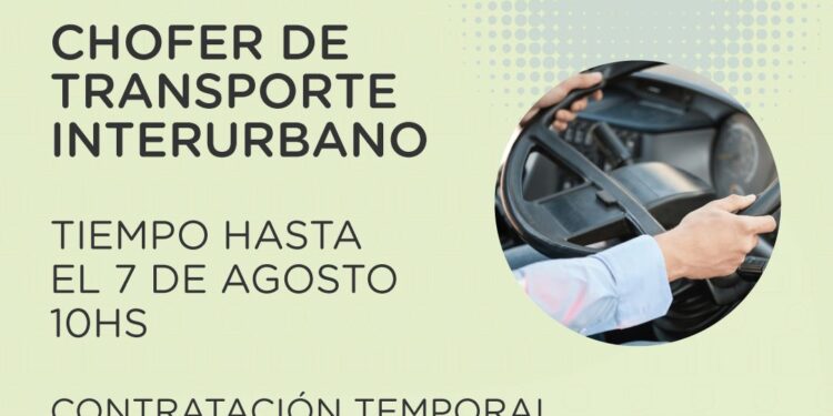 Búsqueda de choferes para transporte interurbano