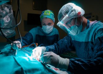 Una nena de 2 años escuchó por primera vez tras la primera cirugía de implante ABI en el país