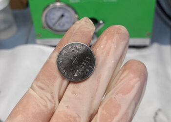 Elaboran pilas recargables con yerba mate usada