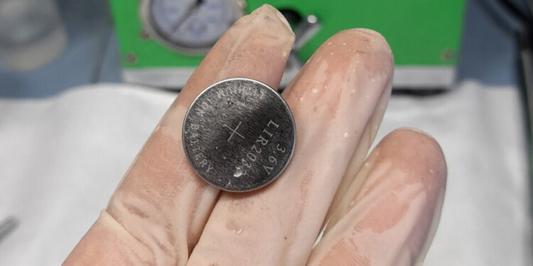 Elaboran pilas recargables con yerba mate usada