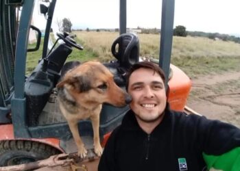 Pancha: La historia de la perra que viaja en sampi