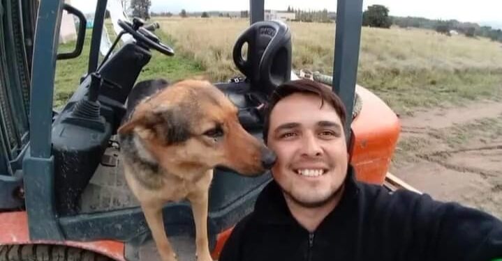 Pancha: La historia de la perra que viaja en sampi