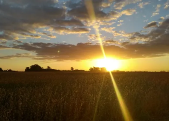 PROVINCIA DE BUENOS AYRES, un futuro mejor es posible