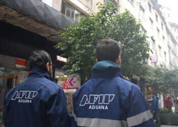 La AFIP investiga a agencias de turismo por maniobras fraudulentas en compra de divisas