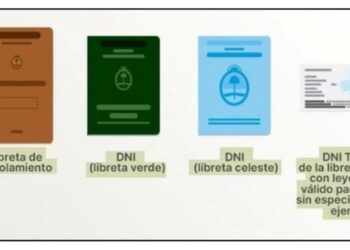 Cuáles son los documentos de identidad habilitados para votar hoy en las elecciones