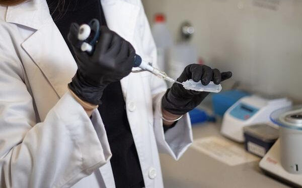 Ciencia argentina con impacto mundial: La ANMAT autoriza ensayo clínico de un fármaco contra el dolor crónico