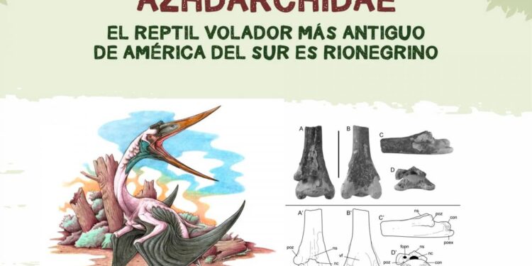 Encontraron en Río Negro restos fósiles del reptil volador más antiguo de América del Sur
