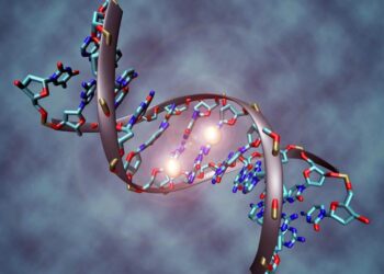 Científicas de la Universidad de La Plata arman el primer banco del genoma argentino