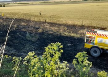 Bomberos trabajaron en 2 focos de incendio cerca de Saldungaray