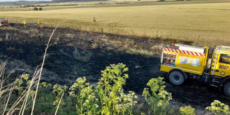 Bomberos trabajaron en 2 focos de incendio cerca de Saldungaray