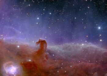 El telescopio europeo Euclid reveló las primeras imágenes del mapa 3D más grande del Universo