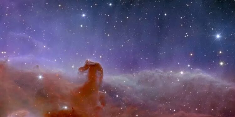 El telescopio europeo Euclid reveló las primeras imágenes del mapa 3D más grande del Universo