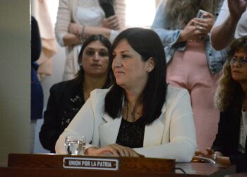 El peronismo se quedó con todos los cargos y la nueva presidente del HCD es Carmen Soverchia