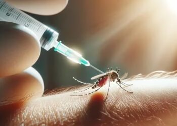 Récord de casos de dengue y alerta epidemiológica: piden extremar los cuidados en el verano