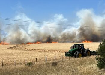 Francisco Del Río: “Se nos quemaron cerca de 100 hectáreas de cosecha”