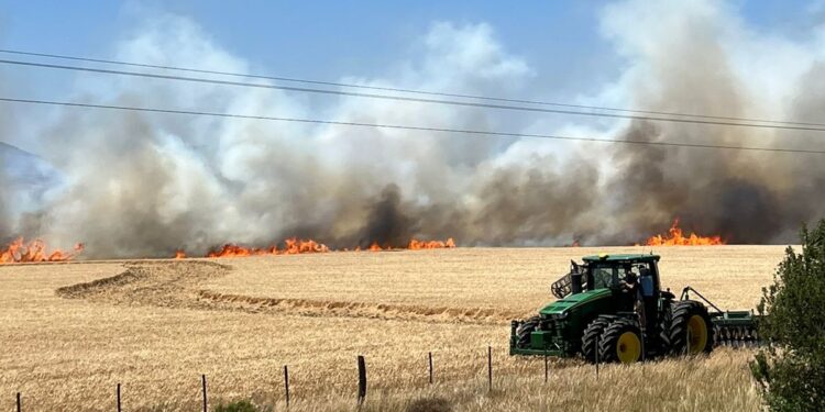 Francisco Del Río: “Se nos quemaron cerca de 100 hectáreas de cosecha”