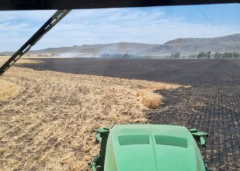 Gustavo de Vizia: “Pudimos controlar el incendio”
