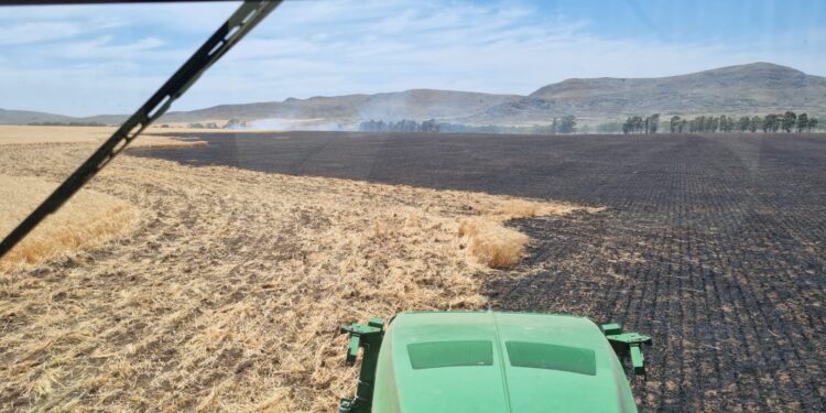 Gustavo de Vizia: “Pudimos controlar el incendio”