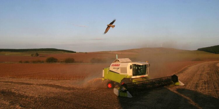 Agricultura regenerativa, un nuevo enfoque ambiental y económico en la producción