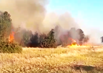 Se desató un gran incendio en el Parque Paso de las Piedras