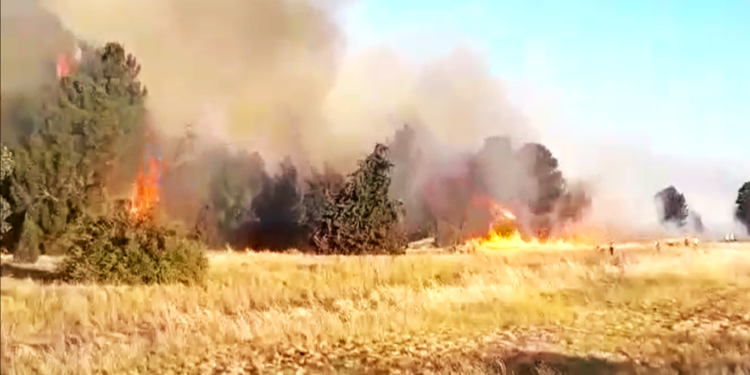 Se desató un gran incendio en el Parque Paso de las Piedras