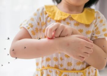 Por qué hay una invasión de mosquitos y cuáles son los métodos repelentes más efectivos