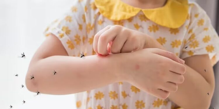 Por qué hay una invasión de mosquitos y cuáles son los métodos repelentes más efectivos