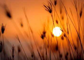 Cuándo empieza oficialmente el verano en la Argentina
