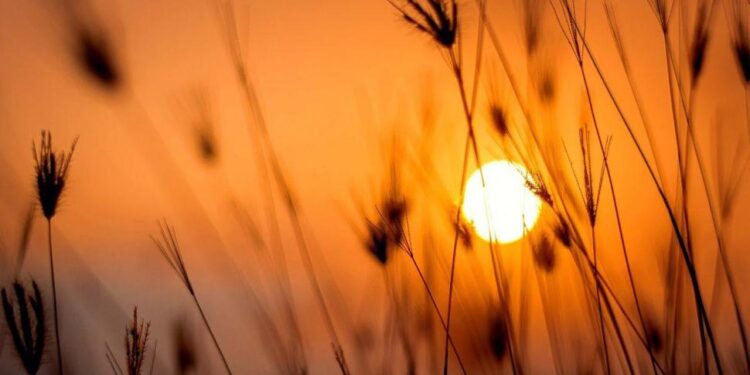 Cuándo empieza oficialmente el verano en la Argentina