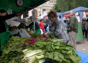 Detectaron una alta concentración de parásitos en verduras del cordón hortícola de La Plata