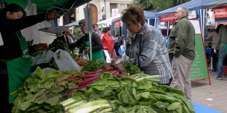 Detectaron una alta concentración de parásitos en verduras del cordón hortícola de La Plata