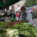 Detectaron una alta concentración de parásitos en verduras del cordón hortícola de La Plata